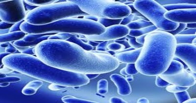 Clicca per accedere all'articolo Strongiloidosi e Schistosomiasi: raccomandazioni per la gestione clinica in Italia. Le malattie tropicali più vicine di quanto pensi