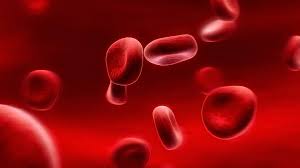 Clicca per accedere all'articolo L’EMATOLOGIA INCONTRA LA MEDICINA DEL TERRITORIO: Anemie e Alterazioni delle Piastrine
